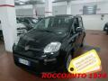 1 FIAT Panda